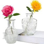 Glass Vase Bud in Bulk Set of 2,Vintage Flower Bottle Small Bud Vases for Floral Arrangements, Home Decor,Wedding Centerpiece,Table Decor,Decorative Centerpiece,Dinning(Set of 2)