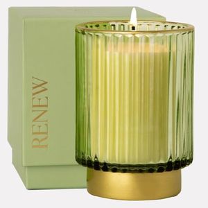 Wild Earth Co.White Jasmine + Mint 11oz Candle in Glass Jar with Gift Box | Candle Gifts | Luxury Glass Jar Candles | 60 Hour Burn Time | Natural Soy Wax Scented Candle