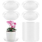 UltraOutlet 20 Pack Clear Plastic Plant Saucer 10 Inches Drip Trays Large Plant Plate Dish for Indoor Flower Pots and Planters, Bulk