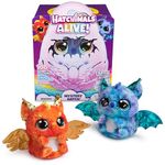 Hatchimals Alive, Mystery Hatch Draggle, Surprise Interactive Toy & Egg with Mist, Lights & Sounds (Styles May Vary), Kids Toys for Girls & Boys