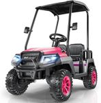 LIGIANT R9 24V Ride on Toys for Big