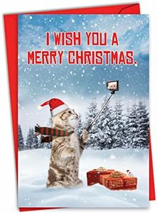 Santa Cat Selfie: Hysterical Christmas Card Showing a cat Taking a Selfie in The Snow, with Envelope. C7044XSG