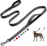 Fida 6 FT Heavy Duty Dog Leash with