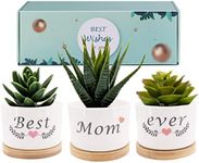 Best Friend Ever Succulent Pot Gift, Friendship Gifts for Women, Unique Birthday Gift Ideas for BFF, Mum, Small Garden Pots (Best Mom Ever)