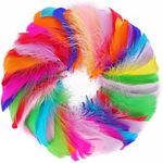 Coceca 300pcs Colorful Feathers 3-5