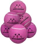 Playground Ball For Dogs