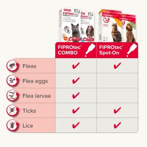 Beaphar FIPROtec Cat Flea & Tick Spot-On Treatment, 6 Pack