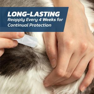 FleaSolve Cat Flea Treatment, 6-Pack – Fast-Acting Flea Control