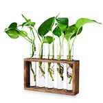 Foosibo Plant Terrarium with Wooden Stand, Wall Hanging Glass Planter Propagation Stations Flower Bud Vase with 5 Test Tubes, Tabletop Glass Terrarium for Propagating Hydroponics Plants