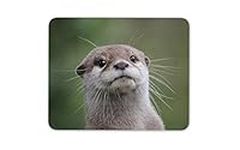 Destination Vinyl ltd Cheeky Otter Mouse Mat Pad - Cute Wild Animal Sea River Fun Computer #14988