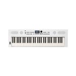 Roland GO:KEYS 5 Music Creation Keyboard | 61-Note Keyboard | Built-In Stereo Speakers | Mic Input | Bluetooth Audio/MIDI Support for Music Streaming - White