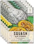 Seed Needs Blue Hubbard Winter Squash Seeds for Planting - Non-GMO, Heirloom & Untreated - Golden Yellow Sweet Flesh Perfect for Baking & Cooking (5 Packs)