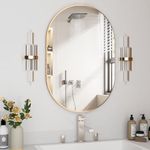 NEUWEABY Oval Bathroom Mirror Capsule Wall Vanity Mirror, 20" x30'' Pill Mirrors Wall Mounted Mirror, Large Modern Mirror with Gold Metal Frame, Decor for Entryway, Bedroom, Living Room