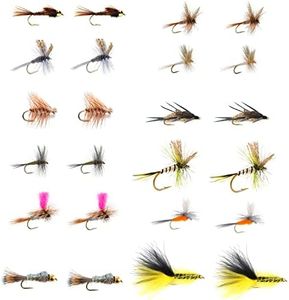 The Fly Fishing Place Eastern Trout Fly Assortment - Essential Dry and Nymph Fly Fishing Flies Collection - 2 Dozen Trout Flies with Fly Box