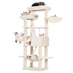 unknown Cat Towers