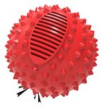 PETIZER Squeaky Dog Ball Toy for Aggressive Chewers,10CM Indestructible Durable Big Dogs Chew Spiky Ball, Floatable Rubber Pet Toys for Medium &Large Breeds, Red