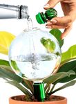 Plant Watering Globes XL with Metal Self Watering Planter Insert - Premium 16 Oz Glass Self Watering Globes Hand-Blown for Indoor Plants - Automatic Plant Waterer Gift Idea for Gardeners (1 Globe)