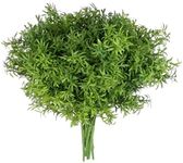 Grand Verde Asparagus Artificial Pl