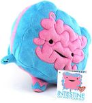 I Heart Guts Intestine Plush - Go With Your Gut! - 9" Intestinal Support Toy - Organ Stuffed Pillow Gift for Colon Disease, IBS, IBD, Colitis, Crohn’s and Surgery