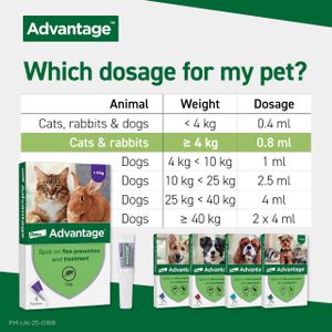Advantage Flea Treatment for Large Cats over 4kg – 4 Dose Pack
