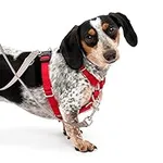 PetSafe Sure-Fit Harness, Adjustabl