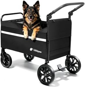 Libbipaw D