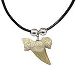 Natural Shark Tooth Necklace for Bo