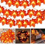 Toodour Thanksgiving Decorations Lights, Fall Maple Leaves String Lights, 20ft 40 LED Fall Lights Battery Operated Orange Red Lights for Holiday Autumn Garland Home Indoor Decor