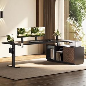 FLEXISPOT