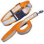 Payton Perry Reflective Dog Collar & Leash, Quick Release Buckle, Pet Collar, Leash for Small Medium Large Breed Dogs (Recommended for 35+kg pet) (X-Large, Orange)