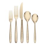 Oneida 894808 Storm Champagne 20-Piece Everyday Flatware Set, Service for 4