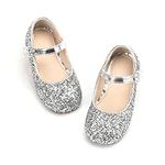 Princess Dress Shoes Silver Glitter
