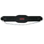 Grizzly Fitness Woven Nylon Dip, Pull Up and Chin Up Belt for Weight Lifting, Weight Training and Body Building by Men and Women | Wide Thick Nylon with Reinforced Double Stitching for Comfort and Durablity | Steel 36" Chain with adjustable D-Ring Snap Closure | One Size