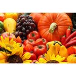 Pitaara Box Veggies Fruits & Flowers | Canvas Painting for Bedroom & Living Room | Engineered Wood Frame | 18 x 12 inch (46 x 30 cms)