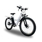 SS Bikes CargoX Heavy Duty Electric Cycle with 36V 10Ah Lithium Ion Battery, Long Range 50 Km, Front Suspension and Dual Disc Brake. (Single Battery-Internal)