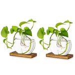 Tabletop Hanging Glass Planter Pcs of 2 Propagation Station Modern Flower Bud Vase in Wood Stand Rack Terrarium for Hydroponic Plants Cuttings Office Home Decoration, Gift for Plant Lover