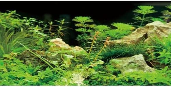 AWERT 36x24 inches Aquarium Background Seaweed Aquarium Background Aquatic Plant Stone River Bed & Lake Fish Tank Background Vinyl Background