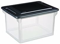 STERILITE File Box Clear Base With Black Lid