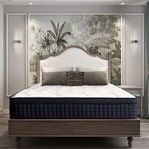 IZTOSS Matelas 160x200 Matelas Mémoire de Forme 11 Zones Différenciées 27cm de Hauteur