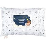 Toddler Pillow with Pillowcase - My