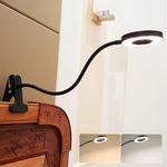 DLLT 6W LED USB Desk Lamp, Reading Light Clip on Headboard 2 Mode Cool White/Warm Light for Office, Desk, Bed, Piano Lighting, Black, Color Changeable Clamp Lamp