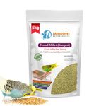 Jainsons Pet Products® Foxtail Millet (Kangani) Small Bird Food Useful for Indigo, Quail, Pheasants, Doves, Love Birds, Finches and Other Species (5 kg)