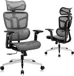 ZLchair Ergonomic Office Chair High