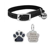 JK Leather Cat Collar, Safety Elastic Bell & Engraved Glitter Tag (Black)