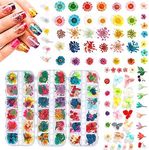 324PCS Dried Flowers Nail Art - Nai