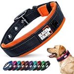 Black Rhino - The Comfort Collar Ultra Soft Neoprene Padded Dog Collar for All Breeds - Heavy Duty Adjustable Reflective Weatherproof (Small, Orange/Bl)