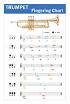 QMG Trumpet Fingering Chart with Color-Coded Notes, Learn Trumpet Technique Suitable for All Levels, Made in the USA