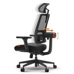 DROGO Ergonomic Office Chair for Work from Home, High Back Computer Chair with Adaptive Lumbar Support, 4D Armrest, Recline, Adjustable Height & Headrest, Mesh Chair for Office/Home (Black)