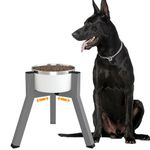 TIDANT Dog Bowl Stand for Medium LargeDogs, Adjustable Width Elevated Dog Bowls for 7-10.6" Wide Bowls, Raised Dog Food & Water Bowls, 11 inch Tall Single Dog Bowl Holder, Grey (Bowl Not Included)