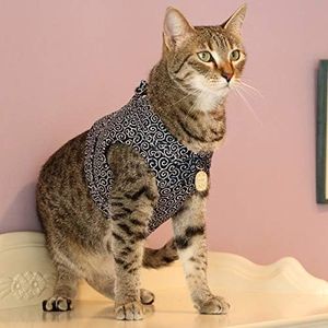 Ninja Cat (Navy, Harness)